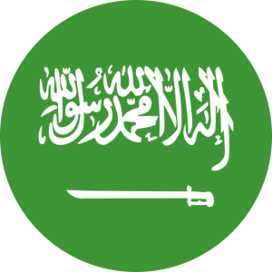 Saudi Arabia Consumer Email Database