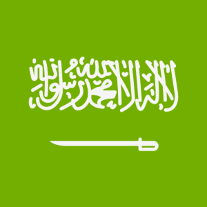 2023 28 Million Saudi Arabia Consumer Cell Phone Database