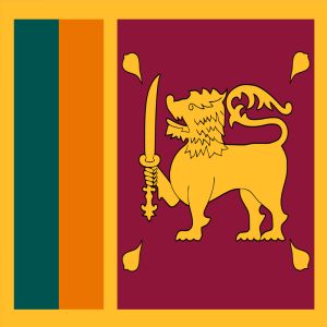 Sri lanka Consumer Email Database