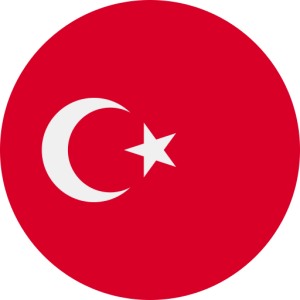 165K Turkey Business Email Database