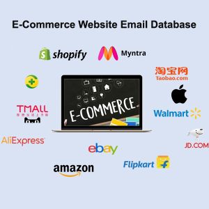 ecommerce web development