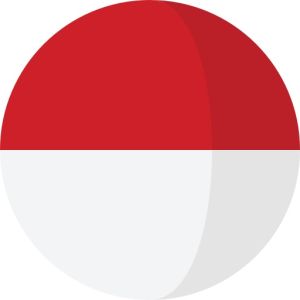 253K Indonesia Business Email List (2025 Fresh)