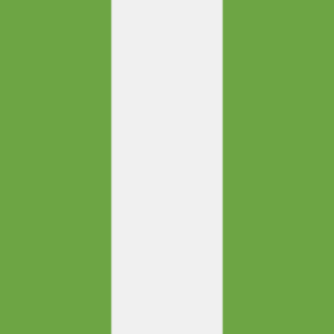 2025 Fresh 9 Million Nigeria Consumer Cell Phone Database