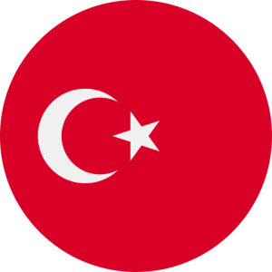 817,055 Turkey Consumer Email List Database (2024 Updated)