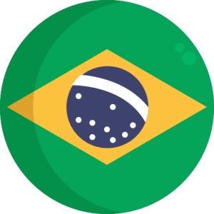 brazil email list
