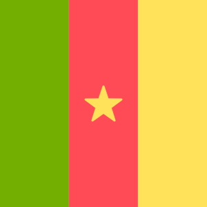 2025 Fresh 1.9 Million Cameroon Mobile Phone Number List