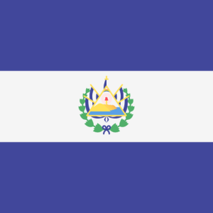 el salvador phone number list
