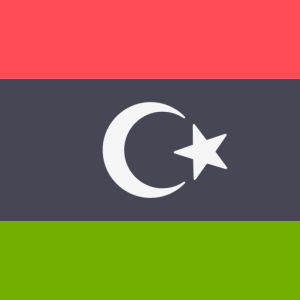 2025 Fresh 4.2 Million Libya Consumer Cell Phone Database