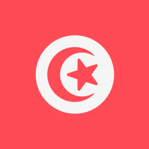 2025 Fresh 6.2 Million Tunisia Consumer Cell Phone Database